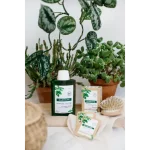 KLORANE SHAMPOOING A L'ORTIE BIO 200ML – Image 3