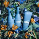 BJÖRN AXÉN CONDITIONER REPAIR 250 ML – Image 3